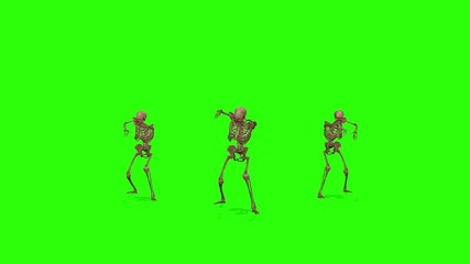 Attacking skeletons on a green screen background. Halloween concept.