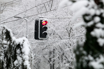 Traffic lights covered with white snow