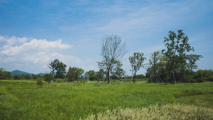 Landscape at Archaeological Ruins of Liangzhu City,  Hangzhou, China