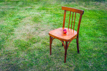 An Old Wooden Chair on the Green Lawn with Two Ripe Red Apples on the Seat. Copy Space.