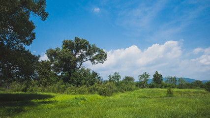 Landscape at Archaeological Ruins of Liangzhu City,  Hangzhou, China
