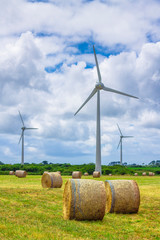Champs d’éoliennes, énergie propre