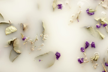 Obraz na płótnie Canvas Purple flowers in white water