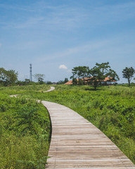 Landscape at Archaeological Ruins of Liangzhu City,  Hangzhou, China