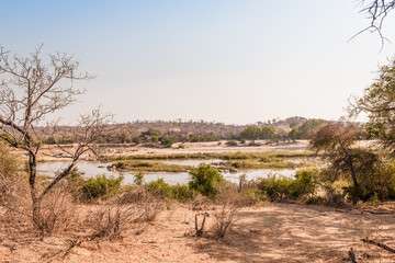 landscape kruger national park, south africa