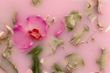 Top view orchids and roses in pink colored water