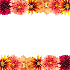 Beautiful floral background of dahlia, gazania and purslane. Isolated