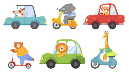 Obraz na płótnie Canvas Cute animals on transport. Animal on scooter, driving car and zoo travel. Dog, elephant and tiger transportation vehicle drivers character. Cartoon isolated vector illustration icons set