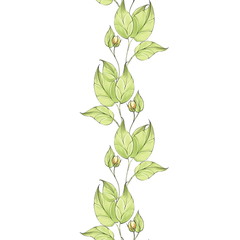 Seamless floral border isolated on white. Green leaves pattern