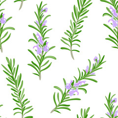 Obraz premium Rosemary seamless pattern. Green branches of fragrant rosemary plant with purple flowers on white background. Vector illustration of aromatic herbs, spicy seasoning in cartoon simple flat style.