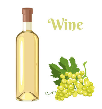 White wine in glass bottle and bunch of grapes isolated on white background. Vector illustration of alcoholic drink ripe berries in cartoon simple flat style.