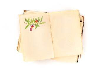 An open old book with an illustration of an olive branch and a place for text, a design template, shot from the top on a white background