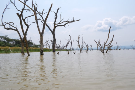 Il lago Barengo in Kenya 