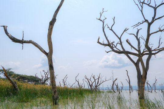 Il lago Barengo in Kenya 