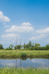Landscape at Archaeological Ruins of Liangzhu City,  Hangzhou, China