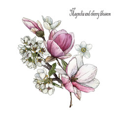 Bouquets of watercolor flowers. Set of watercolor magnolia and cherry blossom. Textile prints