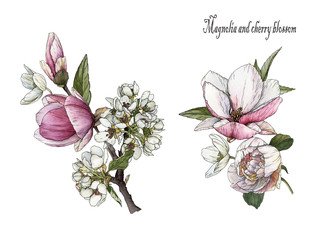 Bouquets of watercolor flowers. Set of watercolor magnolia and cherry blossom. Textile prints