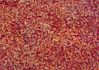 Red autumn leaves. Pattern background for your project