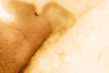 Copy space nude colour background