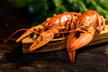 Boiled crayfish on rustic wooden background close