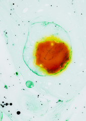 Abstract apple dropped in water