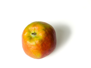 Close-up of one apple named Holsteiner Cox, isolated on white wi