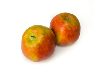 Close-up of two apples named Holsteiner Cox, isolated on white.