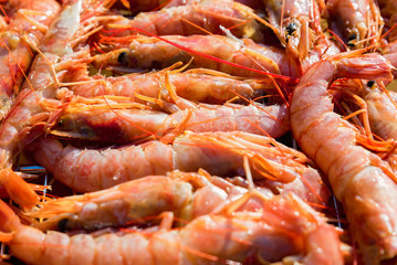 Fresh raw langoustines close up as a background