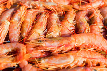Fresh raw langoustines close up as a background