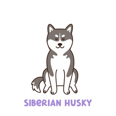Siberian husky dog. It can be used for sticker, patch, phone case, poster, t-shirt, mug and other design.