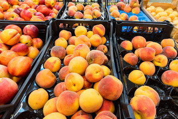 Ripe organic peaches for sale in market