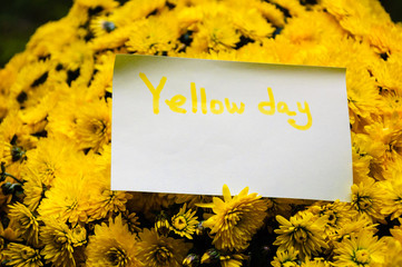 Beautiful bouquet of yellow daisies with message "Yellow day". Happiness and optimism idea.