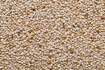 Whole, organic white chia seeds texture top view from above