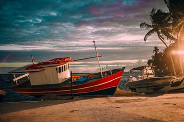 Fototapeta premium wallpaper