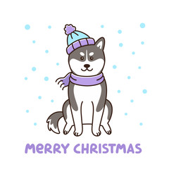 Siberian husky dog in hat and scarf. Merry Christmas card. It can be used for sticker, patch, phone case, poster, t-shirt, mug and other design.