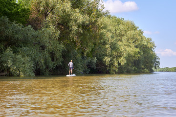 View from the back on athletic man paddling on stand up paddle board (paddleboard, SUP) in Danube...