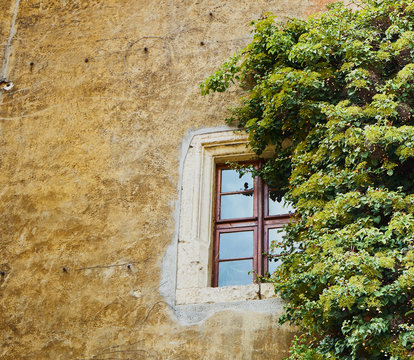 Old weathered house wall made of natural stone with a window with small-scale frame, half of which is overgrown by a climbing plant with green leaves