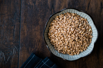 Karakilcik Organic Wheat Grains Seed in Bowl.