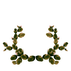 Colorful floral wreath with leaves, cactus plant branches on white background. World of cactuses collection. Perfect for wedding, frame, quotes, pattern, greeting card, logo, invitations and more.