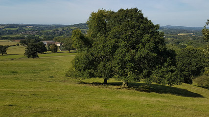 Fototapeta na wymiar English countryside Cradley Worcestershire near Malvern