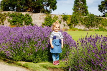 Cute little toddler girl with lavender rows in garden. Happy healthy child smiling and looking at the camera.