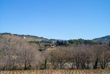 Provence landscape