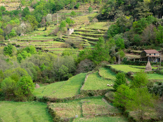Sistelo, Portugal - March 30, 2019: The terraced green landscape of Sistelo, a small village in North of Portugal known as the Portuguese Tibet and classified by UNESCO as World Biosphere Reserve.