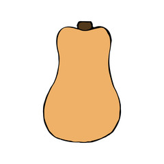 Vector hand drawn orange pumpkin. Sketch of garden vegetable. Doodle illustration of seasonal autumn crop harvesting. Isolated image