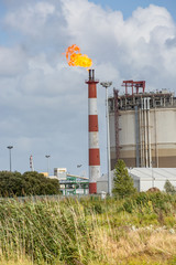 view of oil refinery plant with its flaming fireplace against blue sky © GoodPics