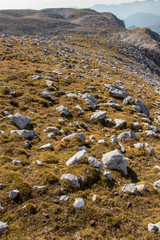 Rocks mix with grass on Tosc mountain