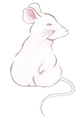 ネズミの横顔