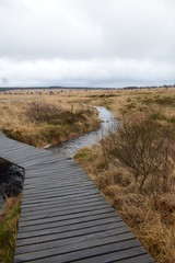 Hohes Venn in Belgien, Hoch Moor