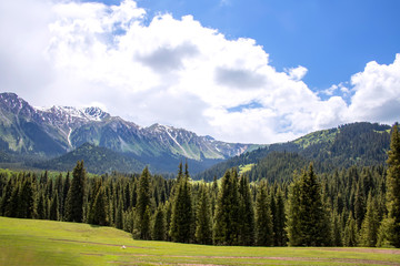 Hills covered with coniferous forest against the backdrop of a mountain range with snow-capped peaks and a cloudy sky. Kyrgyzstan