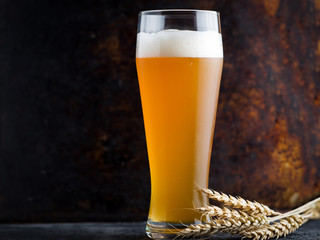 Tall glass of wheat beer and wheat ears on dark background with copyspace